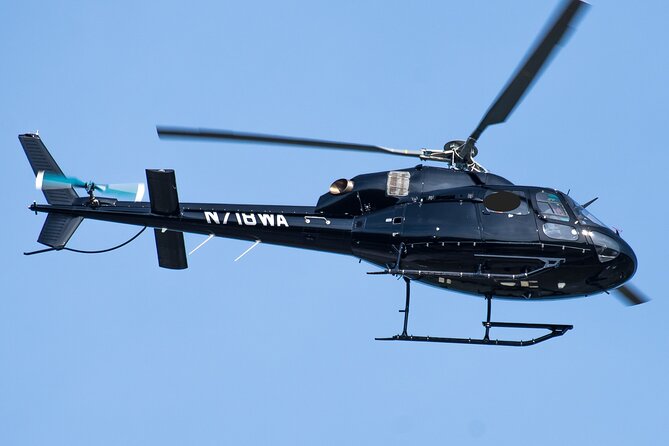 New York to Montauk Full-Day Fishing Adventure with Private Helicopter - Who Should Consider This Tour?