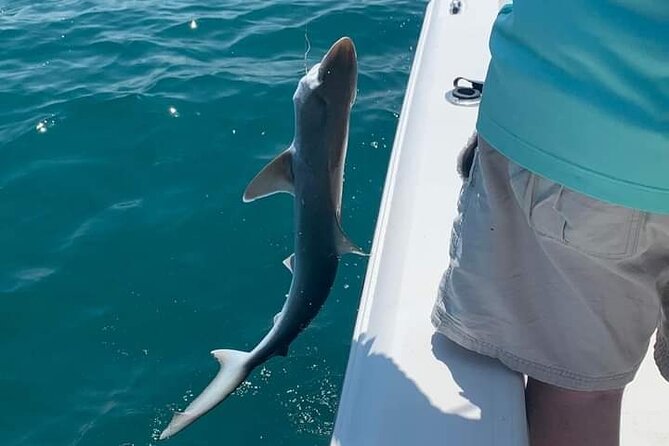 Private 4 hr Fishing Tour with Master Captain Bill Phillips - A Closer Look at the Itinerary & Experience