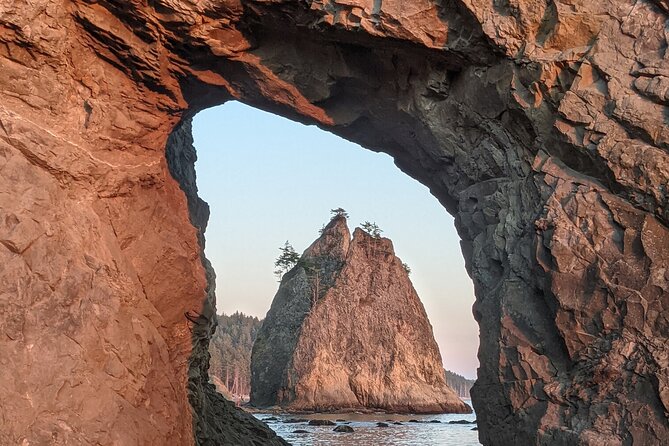 Private Day Hike- Rialto Beach Tide Pooling - A Practical Look at the Rialto Beach Tide Pooling Experience
