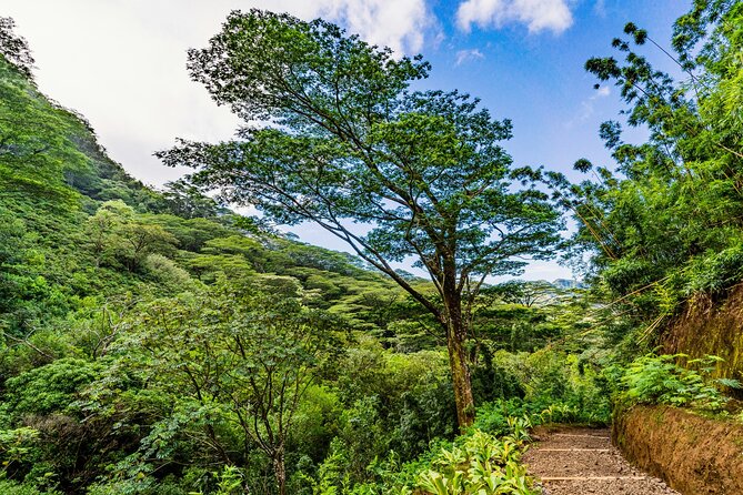 PRIVATE TOUR-Hike Diamond Head & Hawaiian Waterfall - Transportation & Group Size