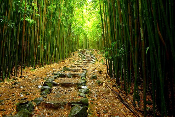 Ultimate Hana Full-Day Adventure Tour - Value and Practical Insights
