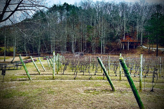 Elijay Hike w/ Waterfall & Wine Tasting Private Tour from ATL - Overall Value and Experience