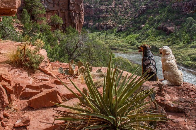Half-Day Arkansas River - The Numbers Rafting Tour - Price vs. Value: Is It Worth It?