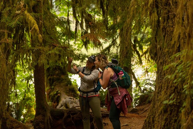 Olympic Full Day Private Tour and Hike - What Could Be Better?