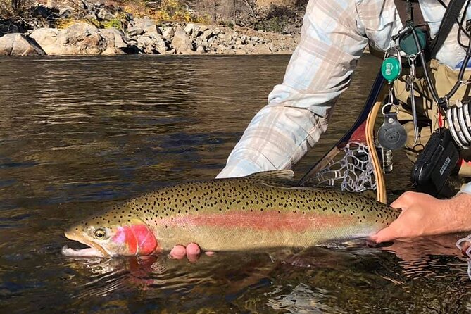 Private Full Day Fly Fishing For Beginners and Experienced Anglers - Who Will Enjoy This Experience?