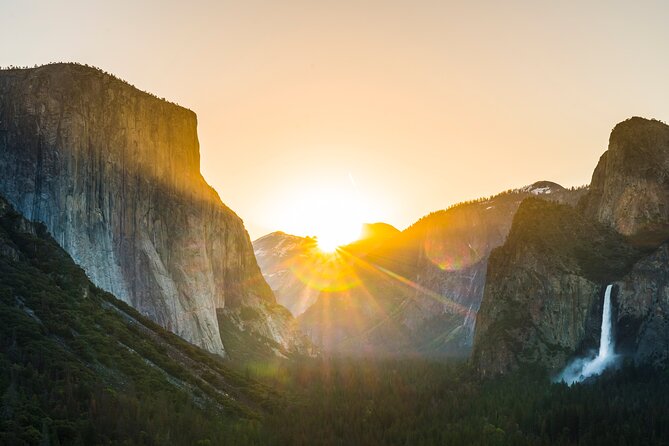 Private Giant Sequoia Grove Hike - Deepening the Experience