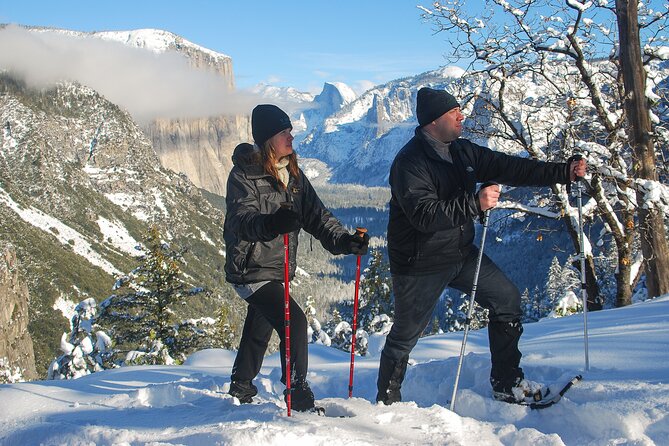 Private Guided Snowshoe Hike in Yosemite - A Detailed Look at the Yosemite Winter Snowshoe Experience
