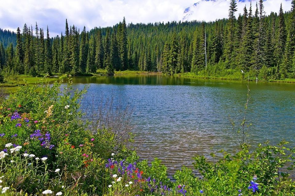 Seattle: Mount Rainier Park All-Inclusive Small Group Tour - FAQs