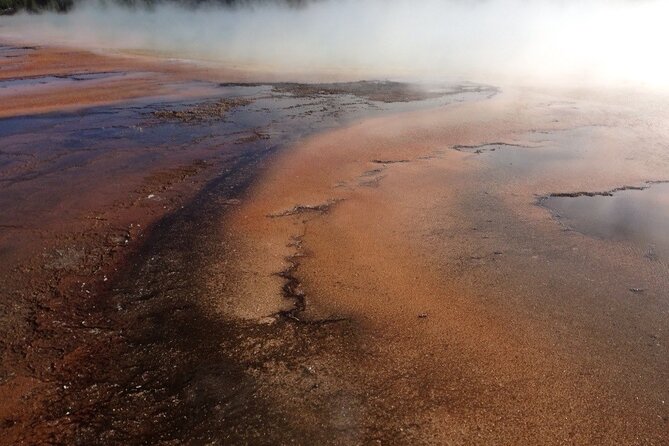 Yellowstone For Kids Family Fun Tour w/PU in West Yellowstone - Pricing and Value: Does It Stand Up?