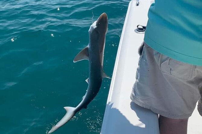6 Hour Private Fishing Tour in Sarasota with Master Captain Bill - Why This Tour Represents Good Value