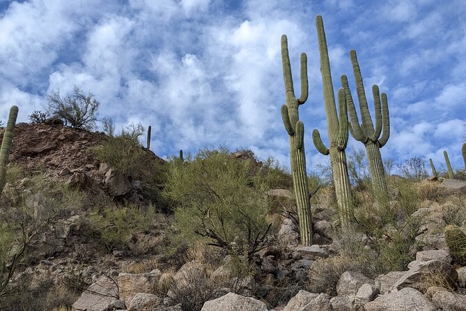 Guided Hike: Lime Kiln Desert Hike on the Lower Salt River - Who Will Love This Experience?