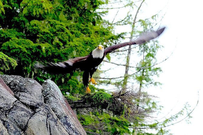 Ketchikan Electric Bike and Rain Forest Hike Ecotour - Final Thoughts