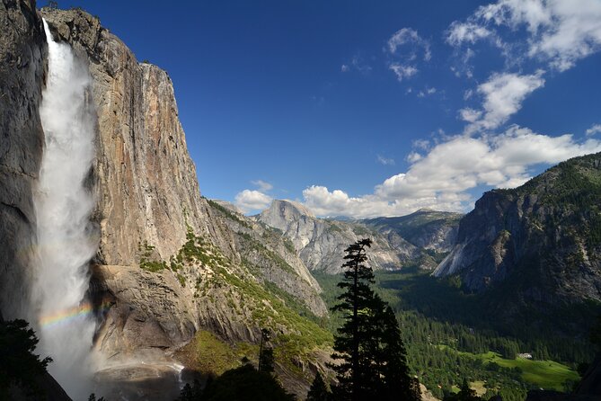 Private Giant Sequoia Grove Hike - The Sum Up: Is It Worth It?