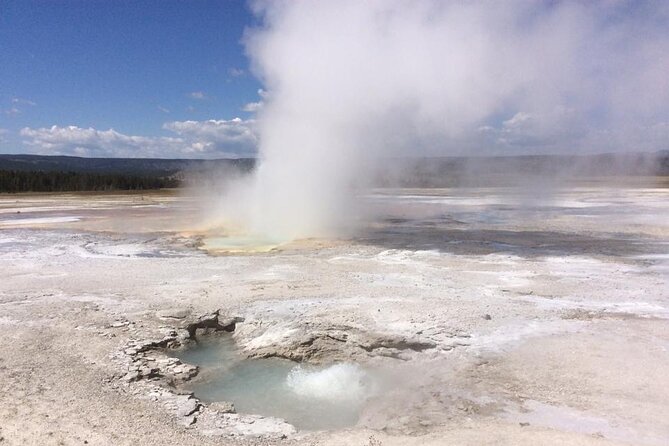 Yellowstone For Kids Family Fun Tour w/PU in West Yellowstone - Who Is This Tour Best For?