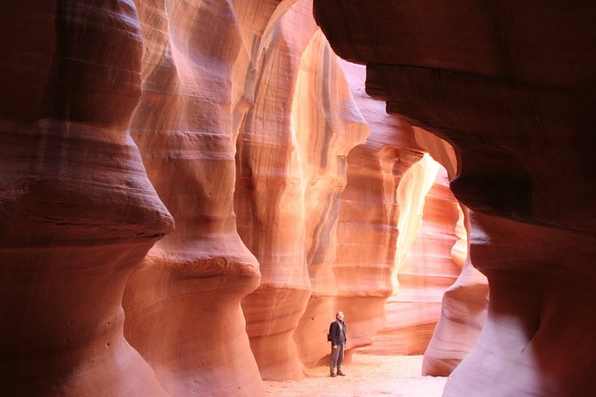 7 Day Western National Parks Tour, Las Vegas to San Francisco via Grand Canyon - Final Thoughts: Who’s This Tour for?