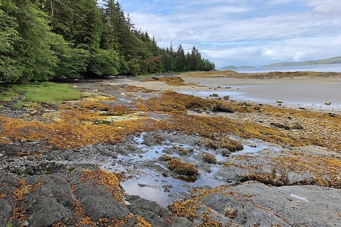 Ketchikan Electric Bike and Rain Forest Hike Ecotour - FAQ