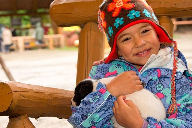 Musher's Camp and S'more Roasting Experience - Starting Point & Guidance