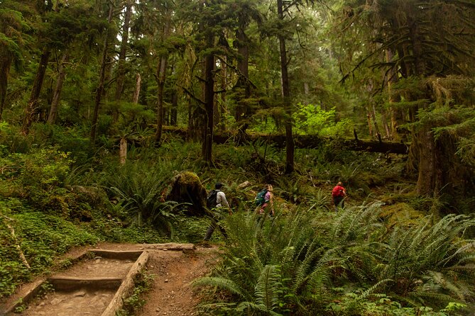 Olympic Full Day Private Tour and Hike - FAQ