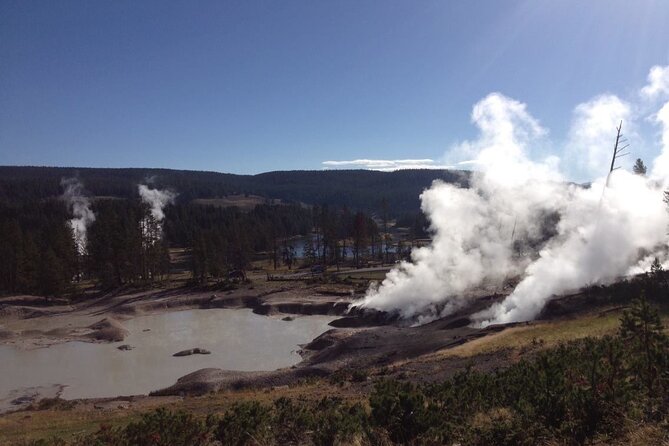 Yellowstone For Kids Family Fun Tour w/PU in West Yellowstone - Overall Impression