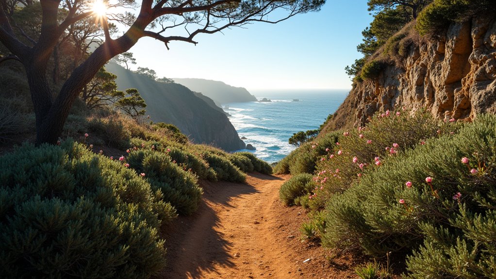 enchanting coastal hiking trails