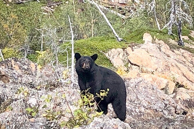 Full Day Canyon fishing trip - Full Day Canyon Fishing Trip: An Authentic Alaska Adventure