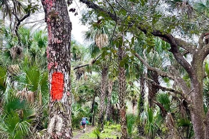Guided Day Hike Through Florida's wild Backcountry. - Highlights of the Guided Day Hike