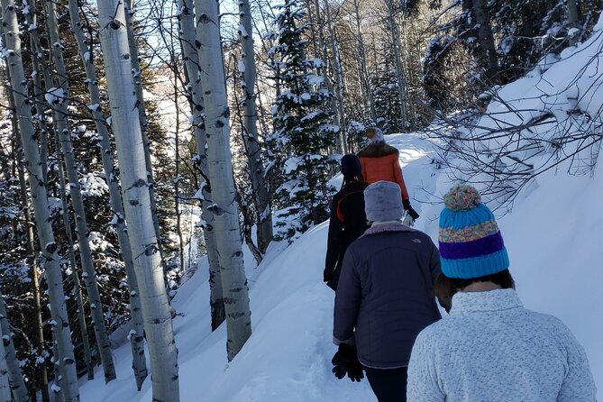 Guided Uinta Forest 3-Mile Hike w/fire + Lunch/charcuterie Stop - An Overview of the Guided Uinta Forest 3-Mile Hike with Fire and Lunch