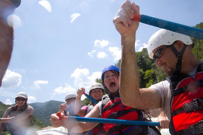 Lower New River Whitewater Rafting Trip - What to Expect from the Tour