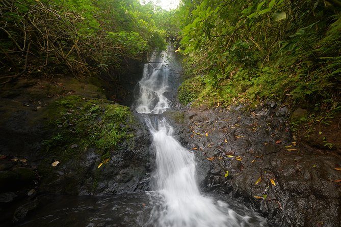 Oahu Hidden Waterfall Hike: A Tropical Paradise Adventure - Highlights of the Oahu Hidden Waterfall Hike