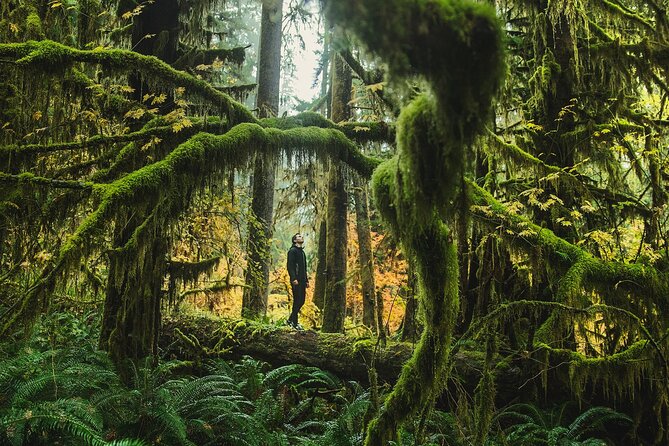 Olympic Full Day Private Tour and Hike - Highlights of the Olympic National Park Private Tour
