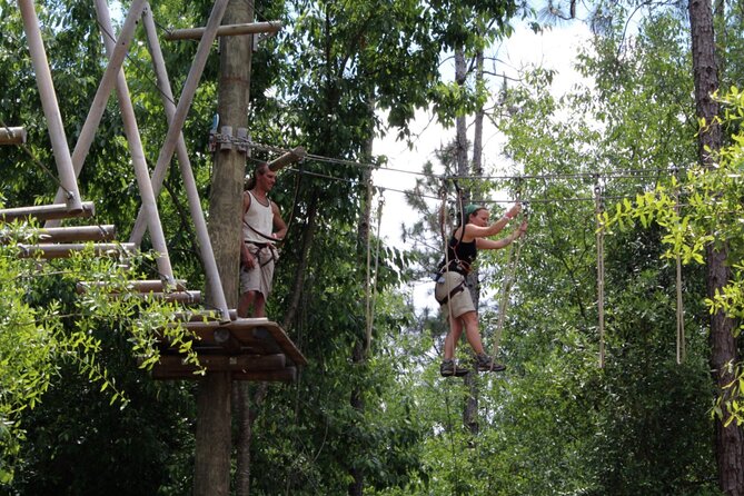 Orlando Tree Trek Adventure Park - What to Expect at Orlando Tree Trek