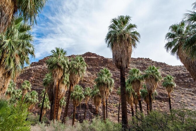 Palm Springs Indian Canyons Bike and Hike - Highlights of the Palm Springs Indian Canyons Bike and Hike Tour