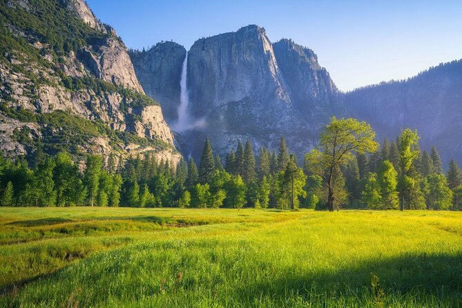 Private Guided Snowshoe Hike in Yosemite - Highlights of the Yosemite Snowshoe Tour