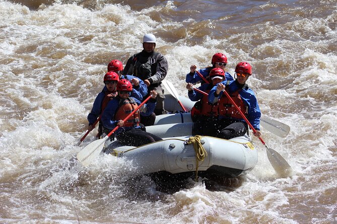 Salt River Whitewater Rafting  Full Day Express Trip - Highlights of the Salt River Whitewater Rafting Experience