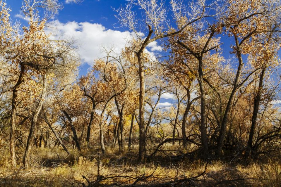 Santa Fe E-bike Adventure Half-Day Tour - Highlights of the Santa Fe E-bike Adventure