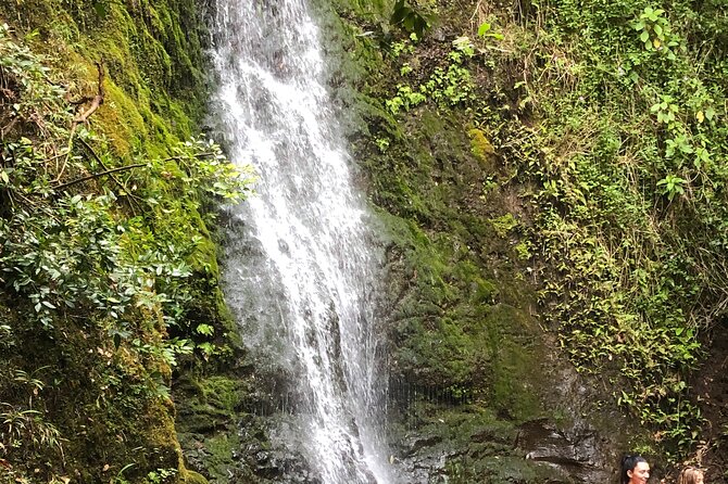 Waterfall Hike , Sightseeing & East Side Beach Day - Starting Off: The Itinerary Breakdown