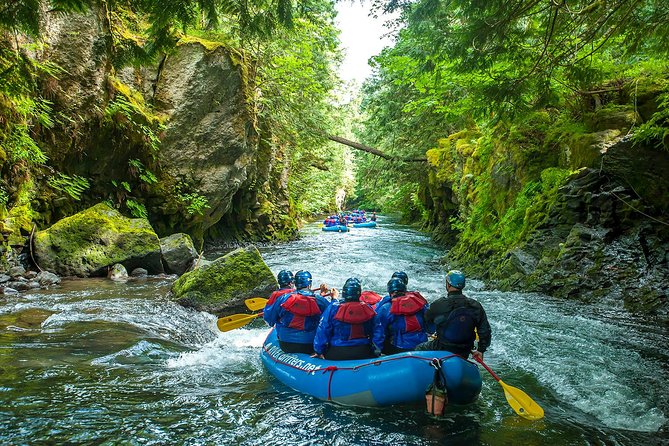 White Salmon River Rafting Half-Day Trip - Highlights of the White Salmon River Rafting Experience