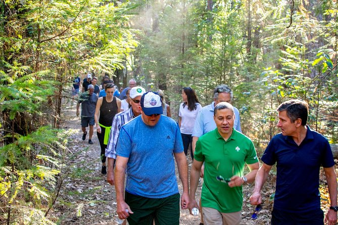 Wine & Wellness Tour in Napa Valley - An In-Depth Look at the Itinerary